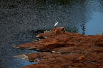 Vista del embalse de Carraízo con poca agua este miércoles en el pueblo de Trujillo Alto, Puerto Rico. EFE/Thais Llorca