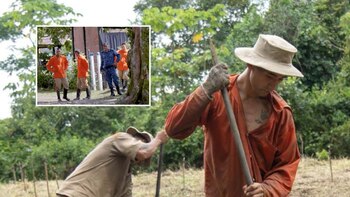 Colonia agrícola del Meta, la