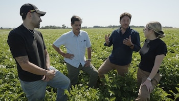 Una cadena de comida rápida