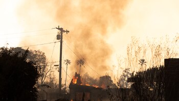 La insalubre calidad del aire,