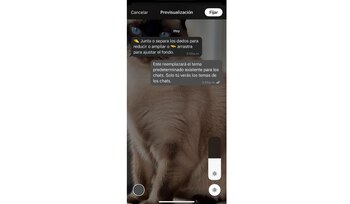 Los usuarios pueden ajustar el