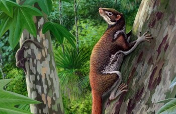 Imagen 6KBGT233FJBCVOOSUCVLESP4EA