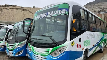 Los buses de la empresa