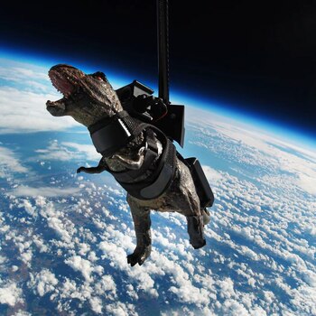 Compañía Sent Into Space