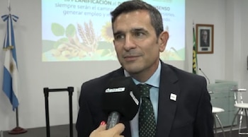 Juan Martín Salas Oyarzún, presidente de la Asociación Argentina de Girasol (Asagir)