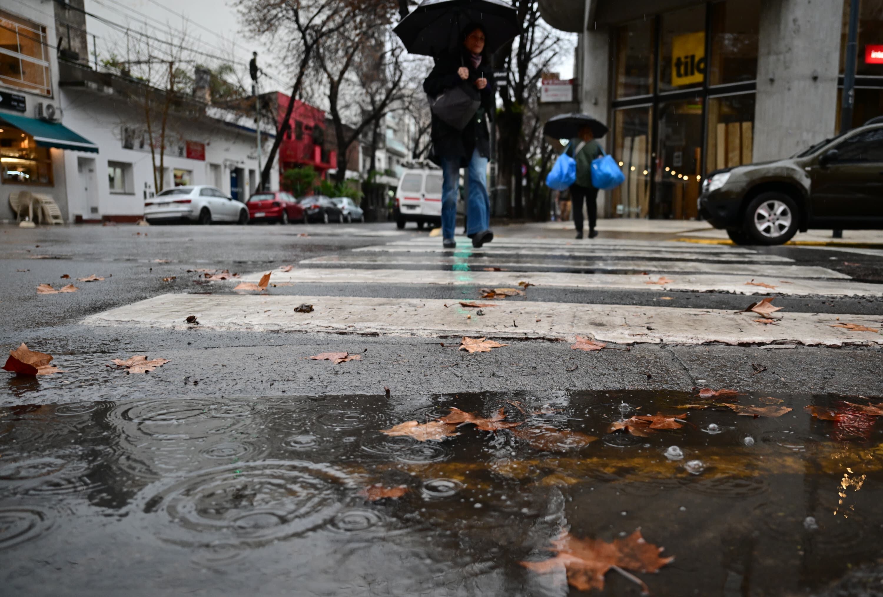 Buenos Aires, La Pampa, el sur de Santa Fe y Córdoba tendrán lluvias durante el sábado (Maximiliano Luna)