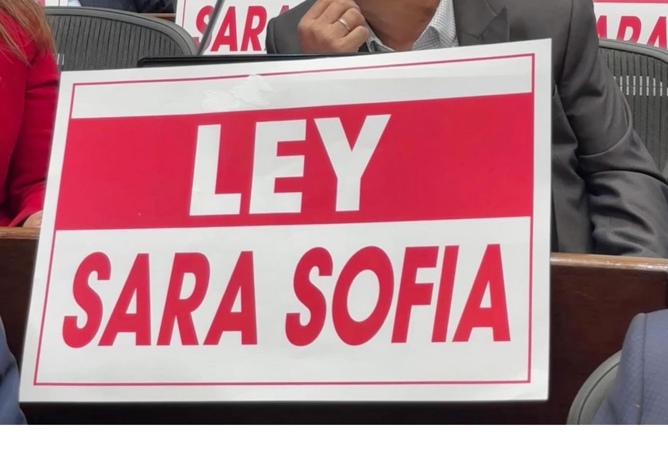La ley lleva el nombre de Sara Sofía Galván, desaparecida en Bogotá en 2021 - crédito Senado de la República