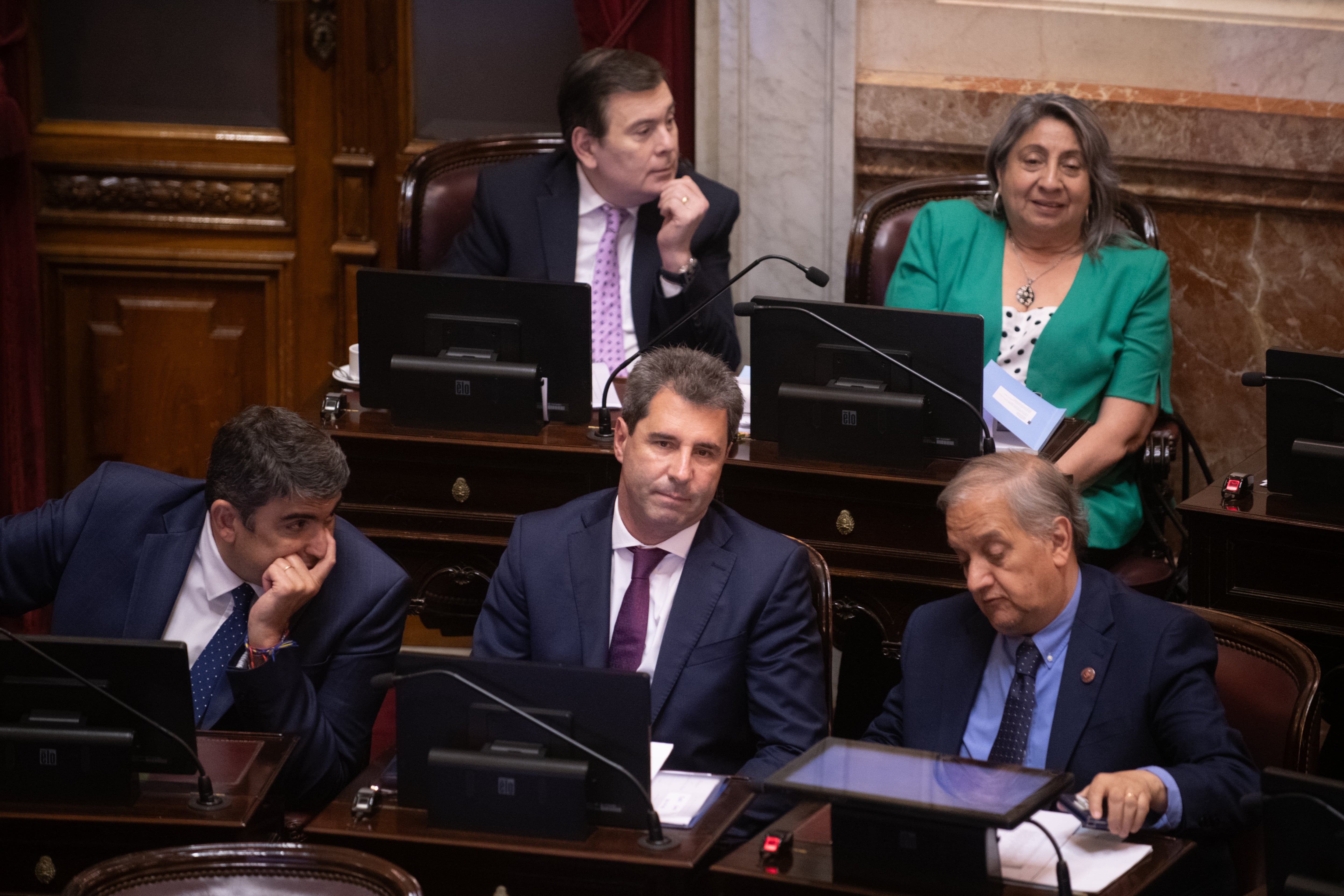 Los senadores del peronismo federal quieren que los gobernadores tengan mayor presencia en el armado nacional de Fuerza Patria y en el Congreso (Jaime Olivos)