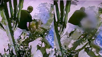 Dos capturas de un video de seguridad donde un hombre con camiseta negra y pantalón claro interactúa con perros en la vía pública