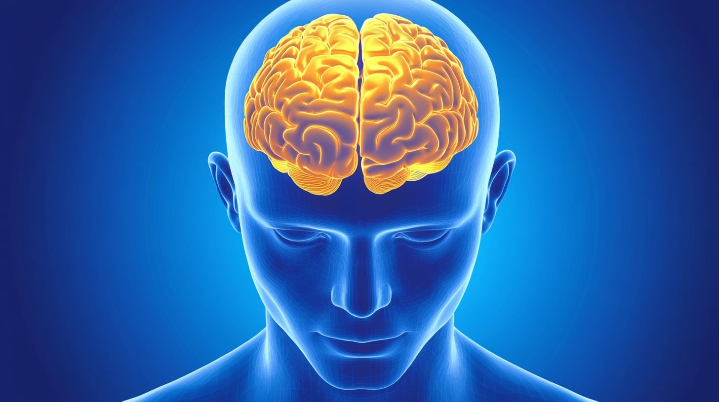 El uso de microchips especializados permitió registrar señales eléctricas complejas en tejido cerebral recién formado (Imagen Ilustrativa Infobae)