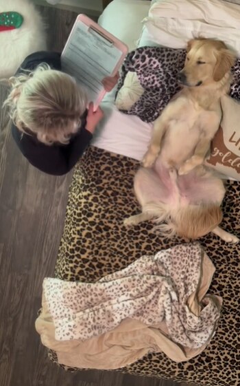 Internautas destacaron la habilidad de