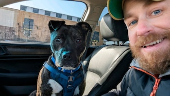 Brutus encontró un hogar luego