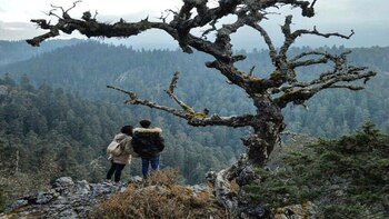 Parque Nacional El Chico, Hidalgo