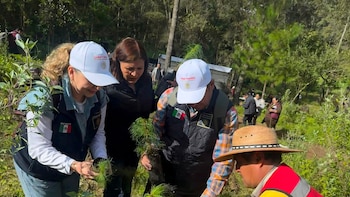 Sheinbaum arranca en Puebla la mayor Jornada de Reforestación: 6.6 millones de árboles en un día