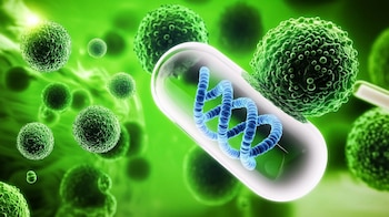 Científicos identificaron la presencia de