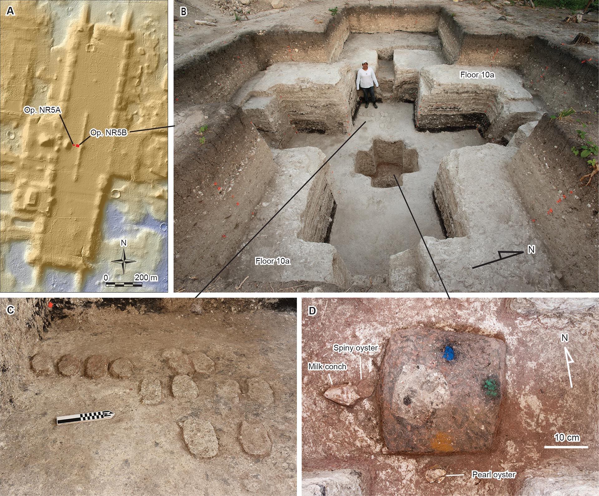 El diseño de Aguada Fénix incluye cruces anidadas que forman un cosmograma. Refleja la visión del universo de los antiguos mayas. (Revista Science Advances)