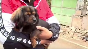 Tamalito impidió el robo del