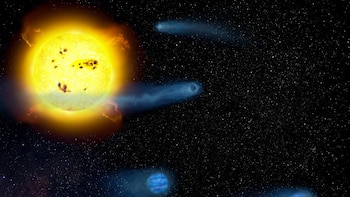 Un estudio revela los orígenes