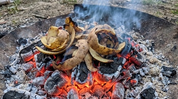 Primer plano de cáscaras de papa sobre brasas rojas y humeantes dentro de un brasero metálico, con tierra y vegetación borrosa al fondo.