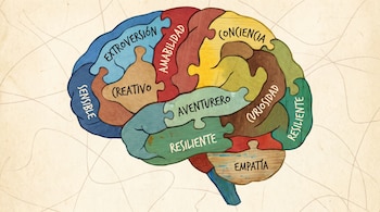 Ilustración de un cerebro humano compuesto por piezas de rompecabezas multicolores, cada una con un rasgo de personalidad en español, sobre fondo claro.