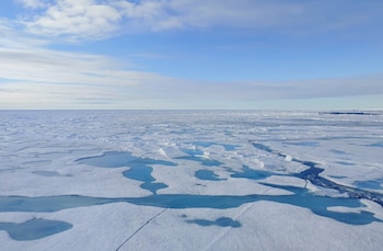 03/12/2024 El hielo marino del Ártico se está derritiendo a un ritmo sin precedentes.
SOCIEDAD INVESTIGACIÓN Y TECNOLOGÍA
CÉLINE HEUZÉ/UNIVERSIDAD DE GOTEMBURGO