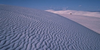 Las mejores épocas para viajar son la primavera y el otoño, con temperaturas agradables y menor afluencia, mientras que en verano predominan los extremos climáticos (Wikimedia Commons)