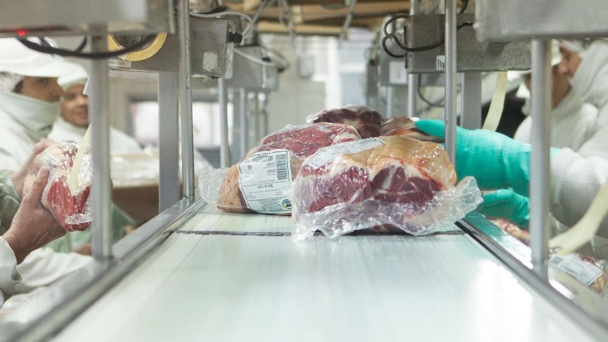 Producción de carne vacuna