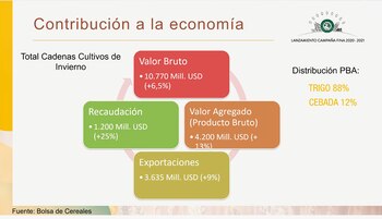 Campaña fina