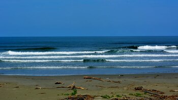 El Santuario de Fauna Acandí,