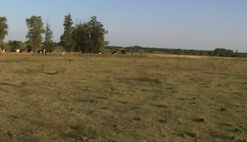 Productores alertan por déficit hídrico