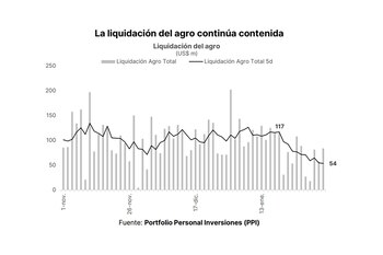 La liquidación de divisas aún