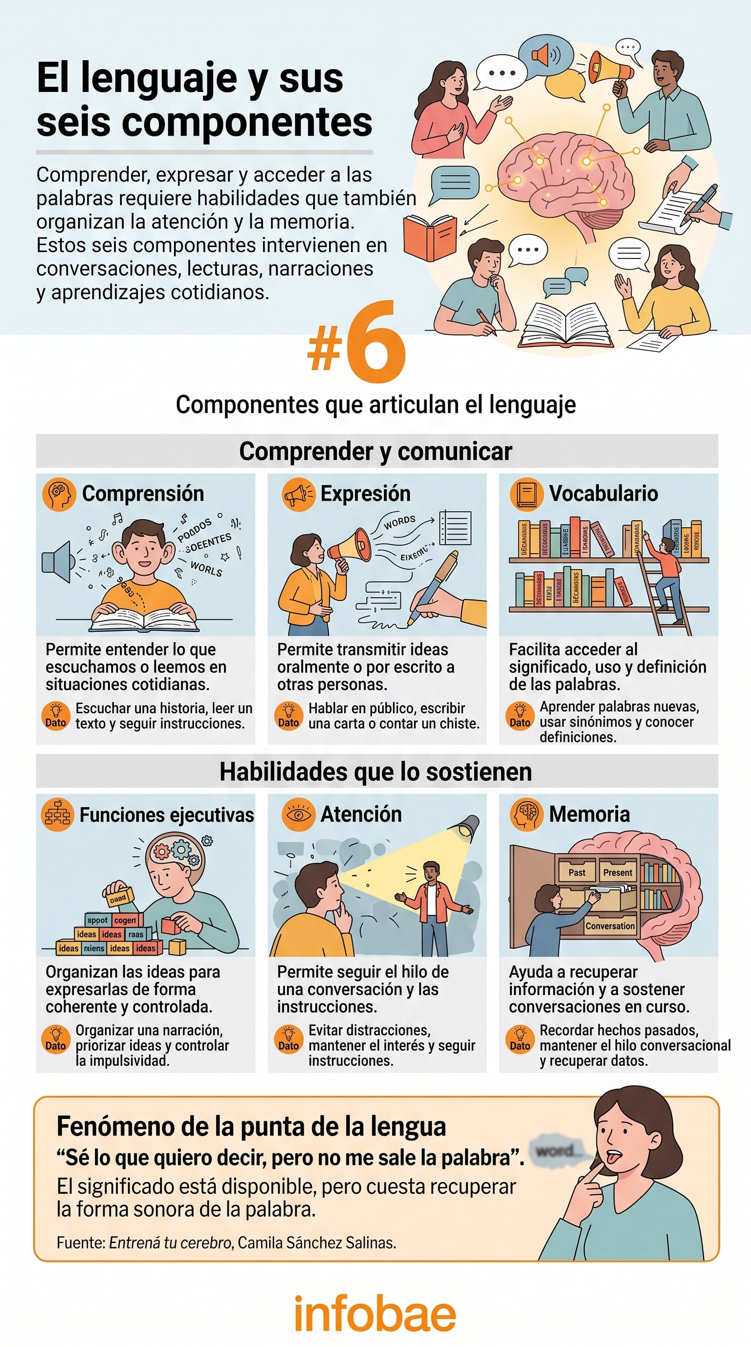 La fluidez verbal involucra atención, memoria, velocidad de procesamiento, comprensión, producción del lenguaje y funciones ejecutivas (Imagen Ilustrativa Infobae)