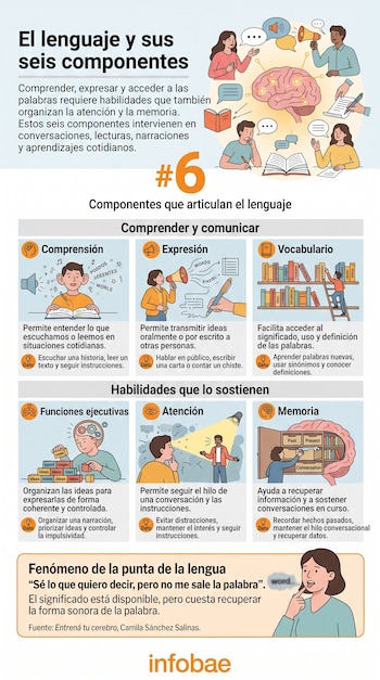 Infografía de estilo ilustrado con seis secciones informativas sobre el lenguaje, esquemas explicativos y un recuadro en la parte inferior.