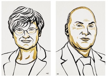 Imagen 6LFK2V3ZUNE6DPW3DKWSVVVS4Y