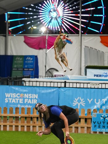 Flynn demuestra su talento y