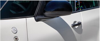 Por primera vez aparece el