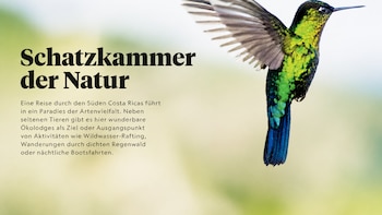 National Geographic dedica 11 páginas a Costa Rica y la presenta como “tesoro de la naturaleza”