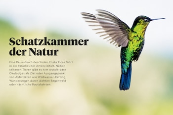 Un colibrí de plumaje verde en vuelo junto a un bloque de texto en alemán sobre la naturaleza en Costa Rica.