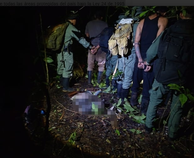 Los agentes sorprendieron a los dos involucrados durante el recorrido y revisaron los objetos que llevaban consigo. (MiAmbiente)