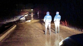 La nieve obliga a cortar