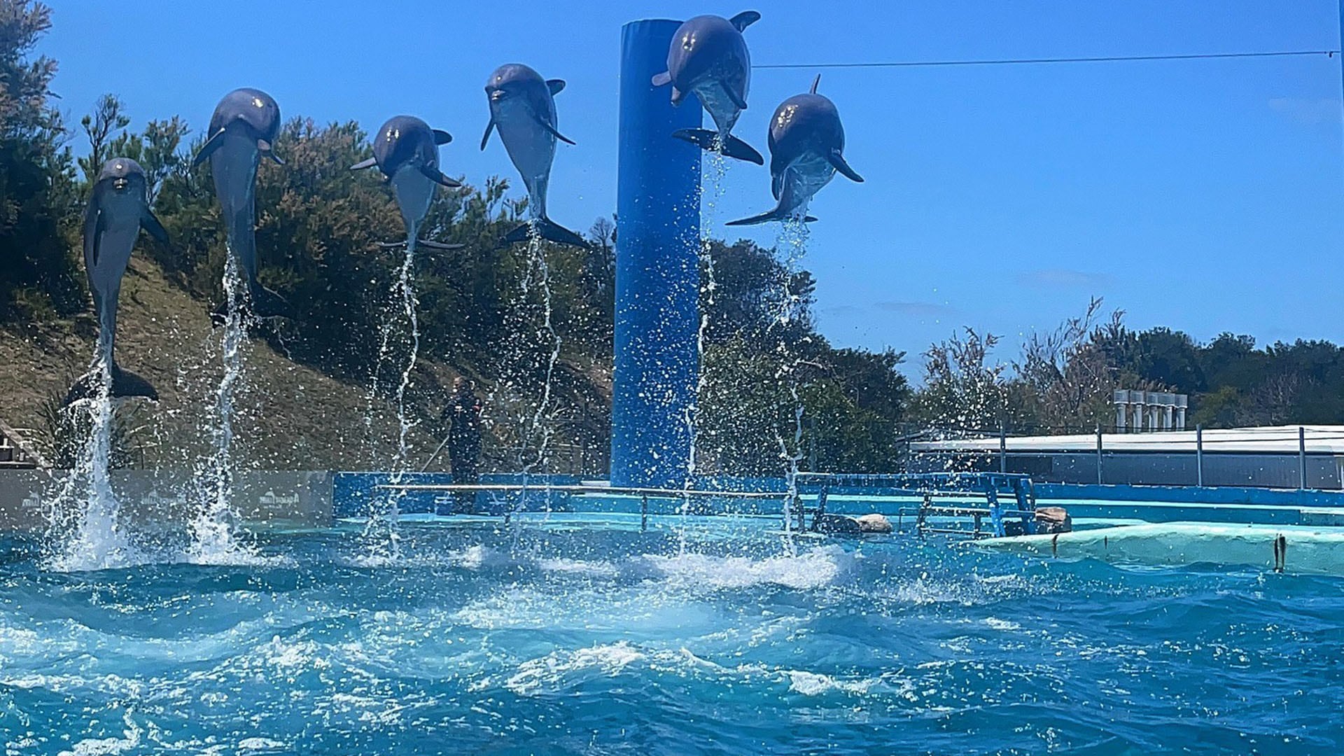 El tradicional parque marplatense cerró sus puertas en marzo de 2025