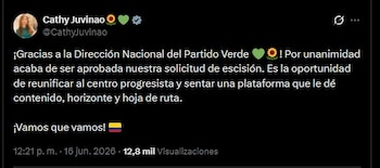 La Dirección Nacional de la Alianza Verde aprobó la escisión impulsada por Catherine Juvinao, que ahora pasa a revisión del Consejo Nacional Electoral - crédito Cathy Juvinao/X
