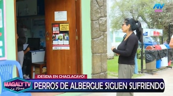 Animalistas esperaron al alcalde Sergio Baigorria desde temprano y personal de limpieza llegó casi al mediodía. ATV/ Magaly TV La Firme.