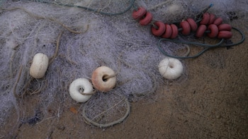ONG denuncia la pesca ilegal con redes en el Mediterráneo e identifica 843 embarcaciones en puertos marroquíes