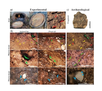 Los residuos de fitolitos en