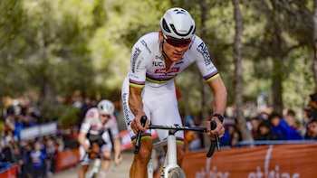 Van der Poel, Del Grosso,