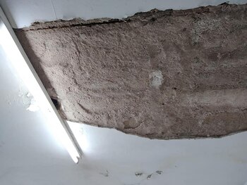 Inspectores buscan determinar si está