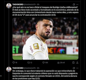 El motivo por el que