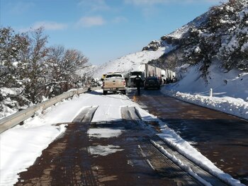 La caída de nieve en