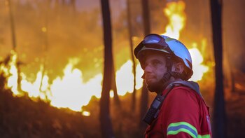 Dominados dos de los cuatro